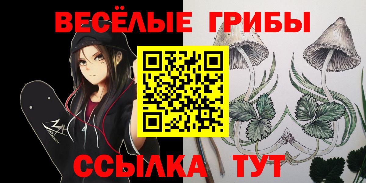 Псилоцибиновые грибы GOLDEN TEACHER  Вход с VPN  что такое наркотик  Казань 