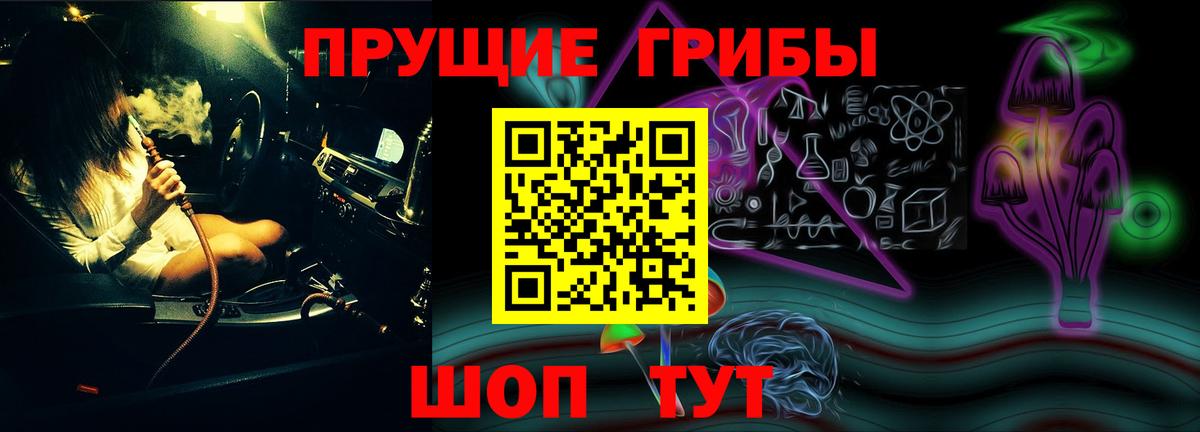 Галлюциногенные грибы Psilocybe Казань